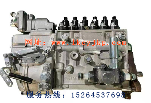 High pressure oil pump of Longkou Diesel Power Distribution Co., Ltd