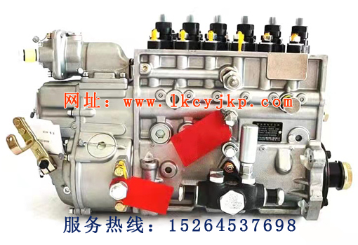 High pressure oil pump